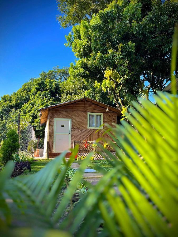 Hotel O Royal Tree Cafe And Resort Dehradun Exterior foto